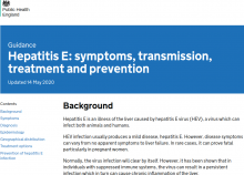 Hepatitis E: symptoms, transmission, treatment and prevention